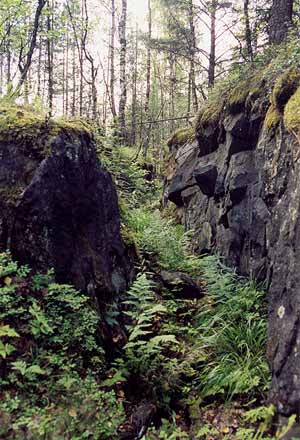 2002. Karhumäki