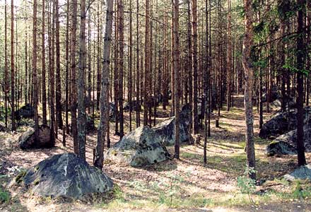 2002. Karhumäki
