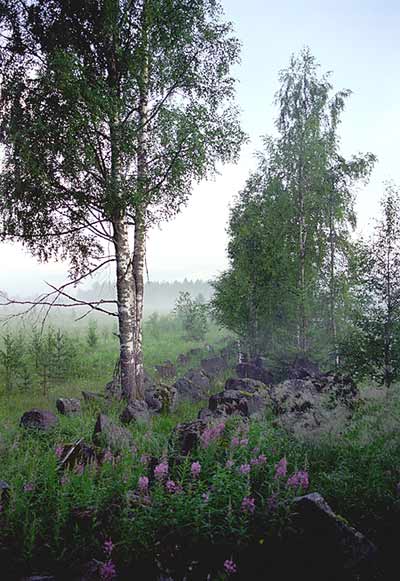 2003. Kollasjärven sotahistoriallinen museo-puisto