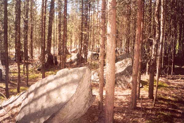 13. kesäkuuta 2004. Karhumäki
