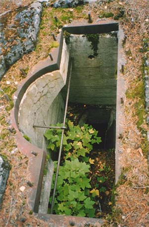 2003. Karhumäki