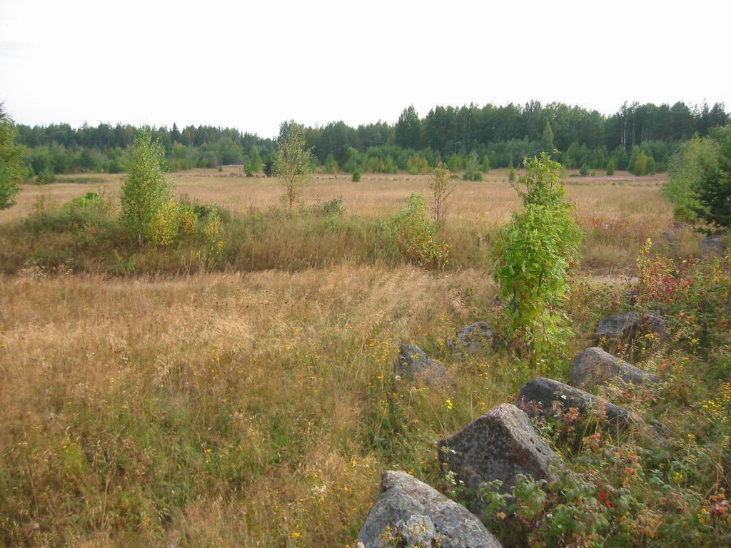 15. elokuuta 2006. Syskyjärvi