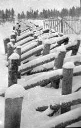 Март 1940 года. Коллаа. Позиции финских войск