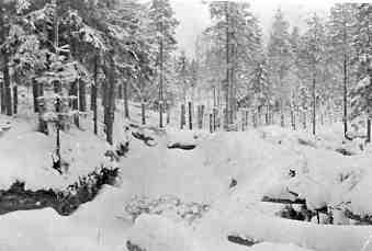 March 1940. Kollaa. Finnish lines