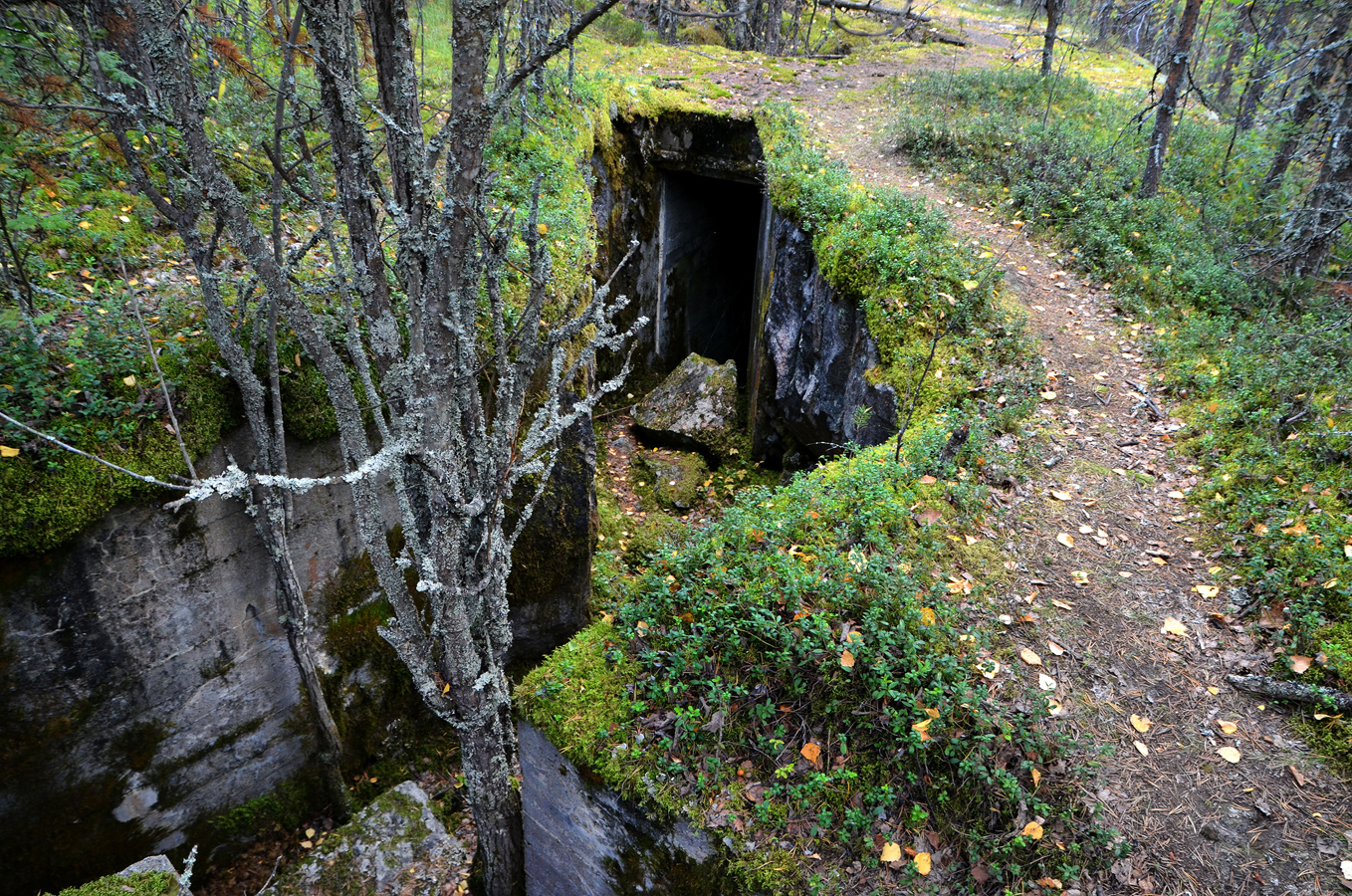 что такое дот миллионник фото 58